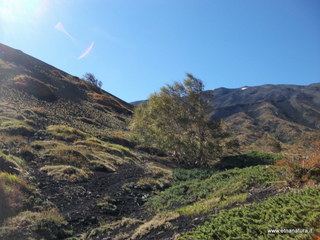 rrente Quarantore-01-11-2012 10-59-11